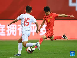 在国内